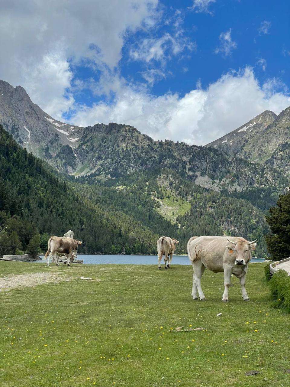 Bonic d´Àneu Esterri d'Àneu Exterior foto
